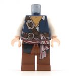 LEGO Torso and Legs, Fancy Pirate