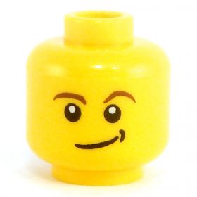 LEGO Head, Brown Eyebrows and Crooked Smile