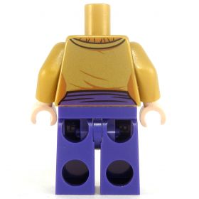 LEGO Purple and Gold Outfit