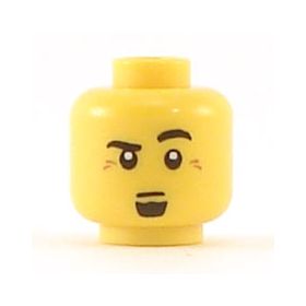 LEGO Head, Raised Left Eyebrow, Black Goatee