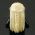 LEGO Hair, Long and Straight with Braid in Back, Light Flesh Ears, Light Yellow